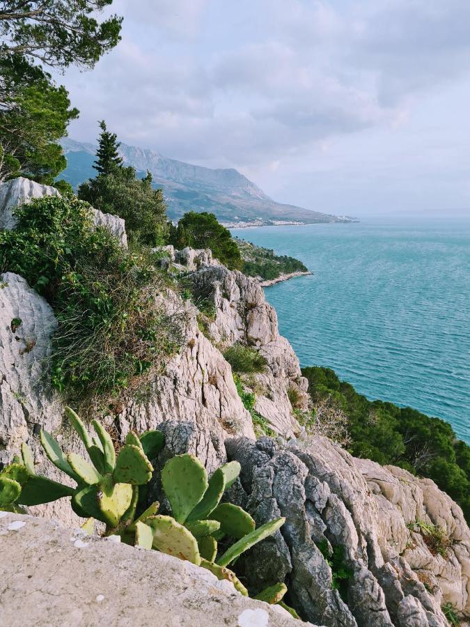Apartment Ivona With Beautiful Seaview Makarska Exterior foto